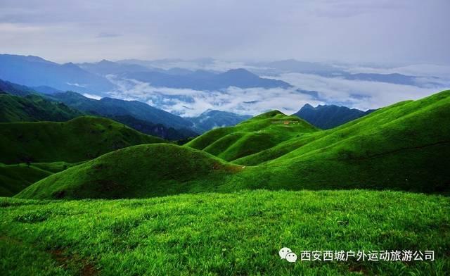 红楼百味斋|谁是红楼最会“赚钱”的人